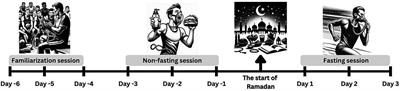 Effects of Ramadan intermittent fasting on performance, physiological responses, and bioenergetic pathway contributions during repeated sprint exercise